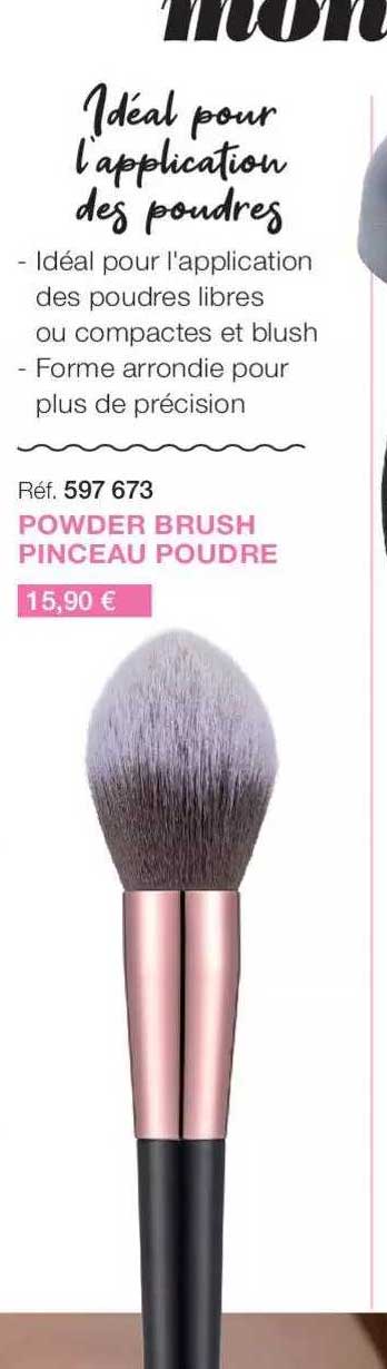 powder brush pinceau poudre
