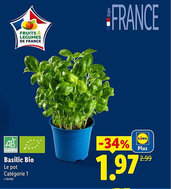 Basilic Bio