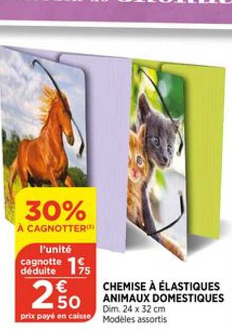 chemise à élastiques animaux domestiques