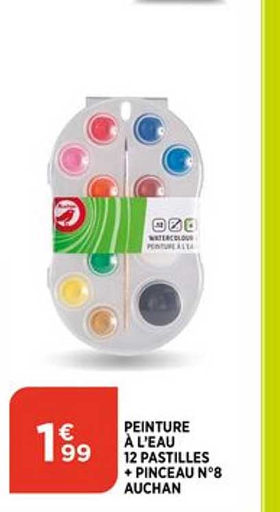 peinture à l eau 12 pastilles + pinceaux n°8 auchan
