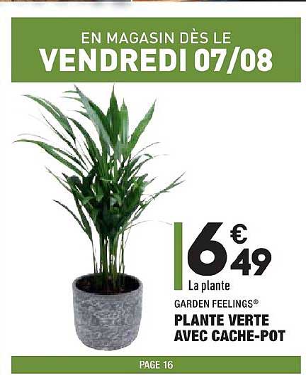 plante verte avec cache pot garden feelings