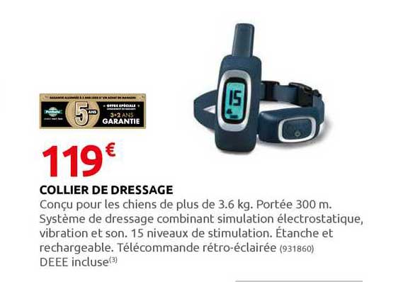 collier de dressage