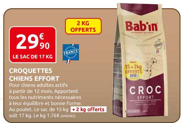 croquettes chiens effort