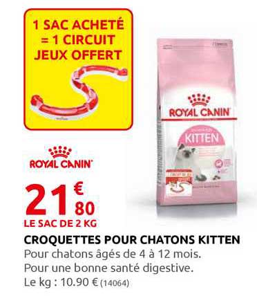 croquettes pour chatons kitten