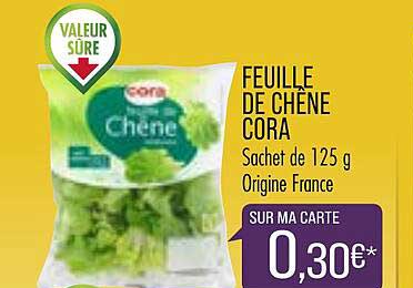 Feuille De Chêne Cora