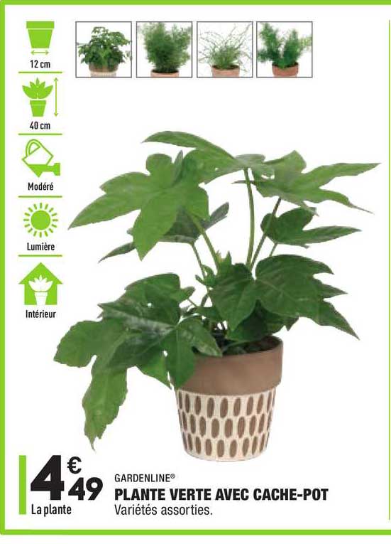 plante verte avec cache-pot gardenline