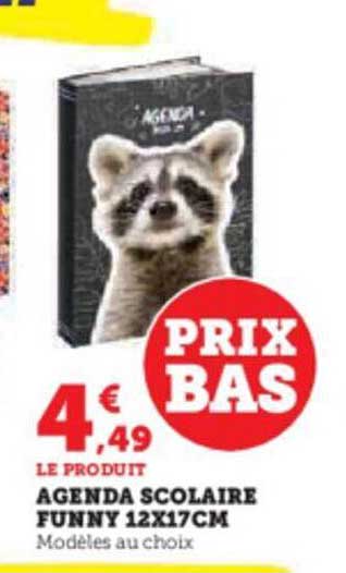 agenda scolaire funny 12 x 17 cm