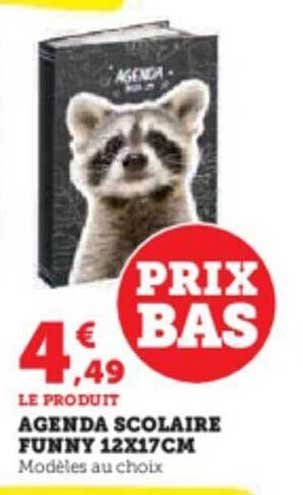 agenda scolaire funny 12 x 17 cm