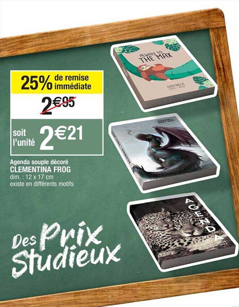 agenda souple décoré clementina frog