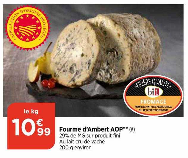 fourme d'ambert aop