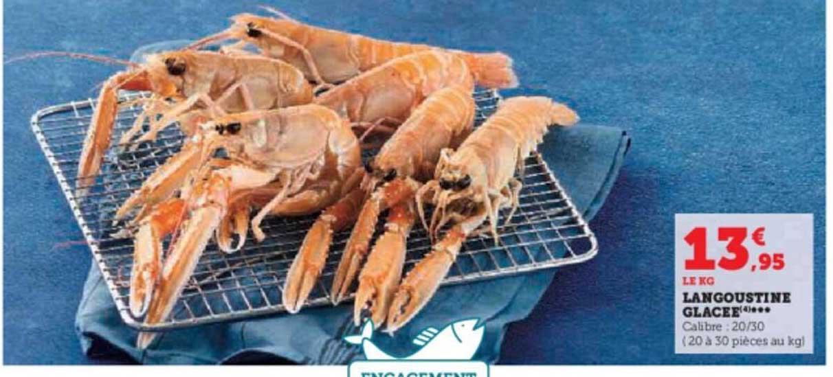 Langoustine Glacée