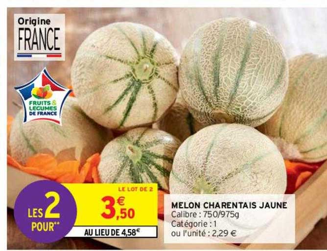 Melon Charentais Jaune