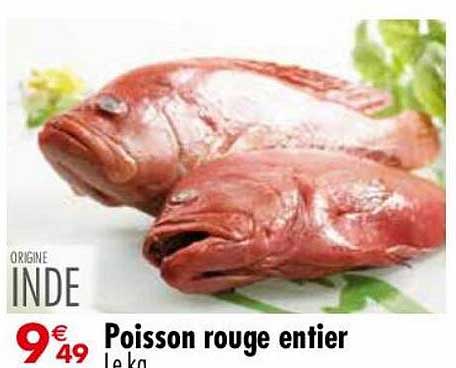 Poisson Rouge Entier