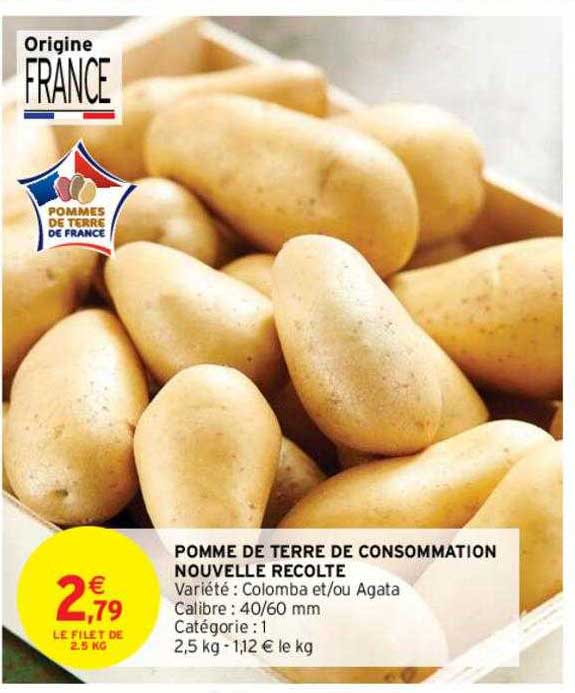 pomme de terre de consommation nouvelle récolte