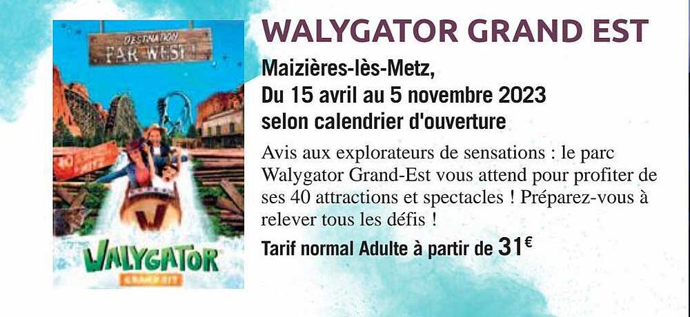 walygator grand est