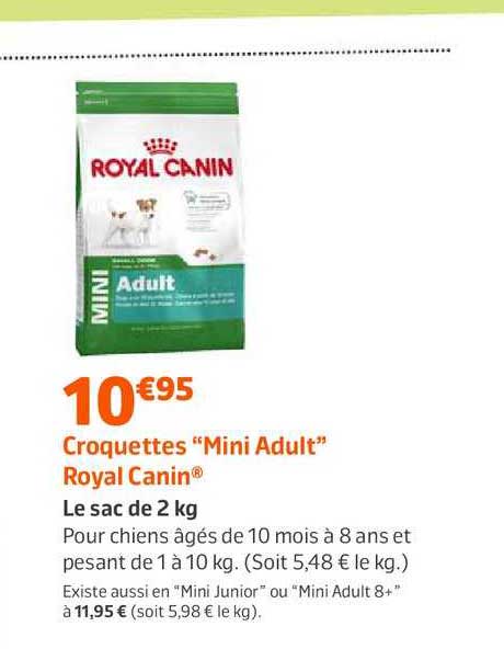 croquettes mini adult royal canin