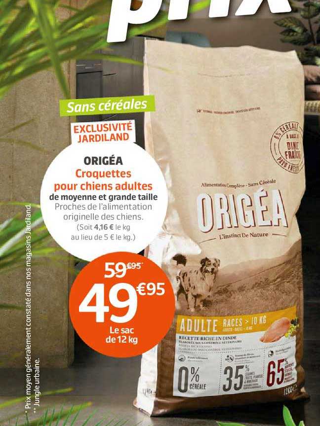 Origéa Croquettes Pour Chiens Adultes