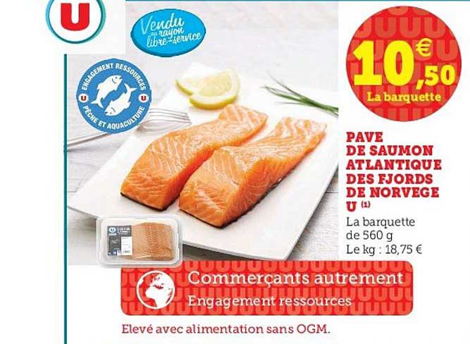 Pavé De Saumon Atlantique Des Fjords De Norvège U