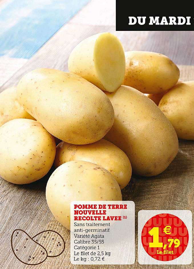 pomme de terre nouvelle récolte lavée