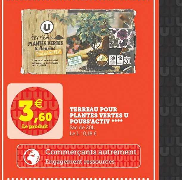 terreau pour plantes vertes u pouss activ