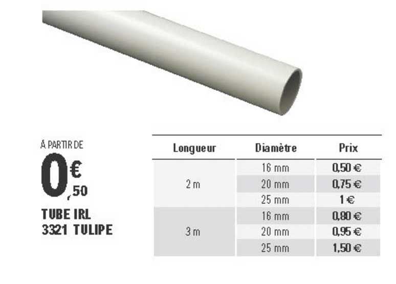 Tube Irl 3321 Tulipe