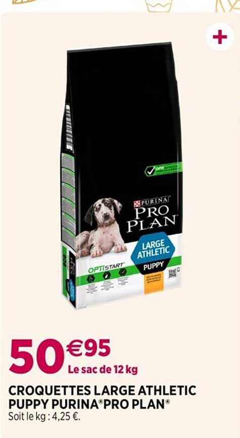 croquettes large athletic puppy purina pro plan