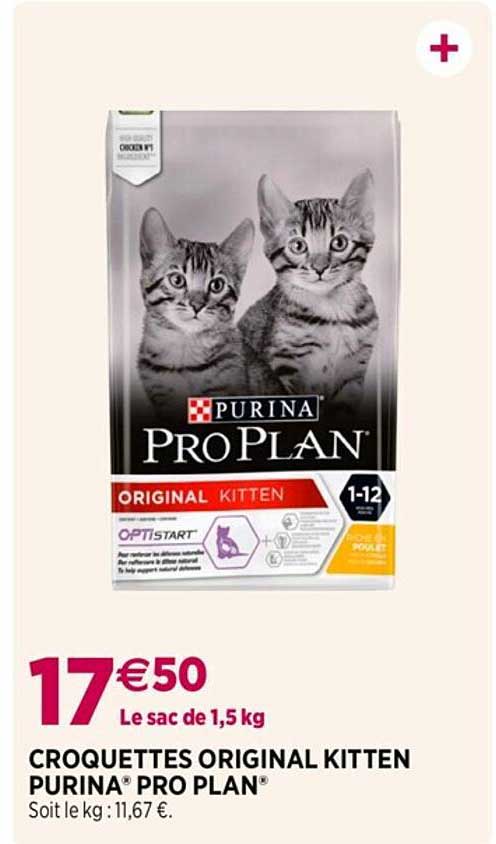 croquettes original kitten purina pro plan