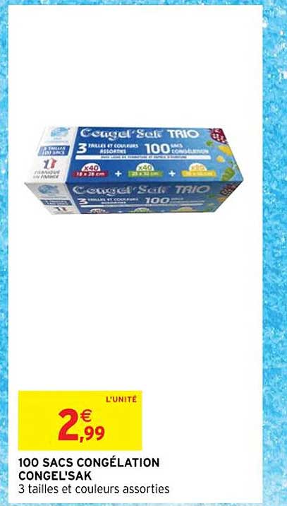 100 Sacs Congélation Congel'sak