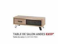 table de salon andes