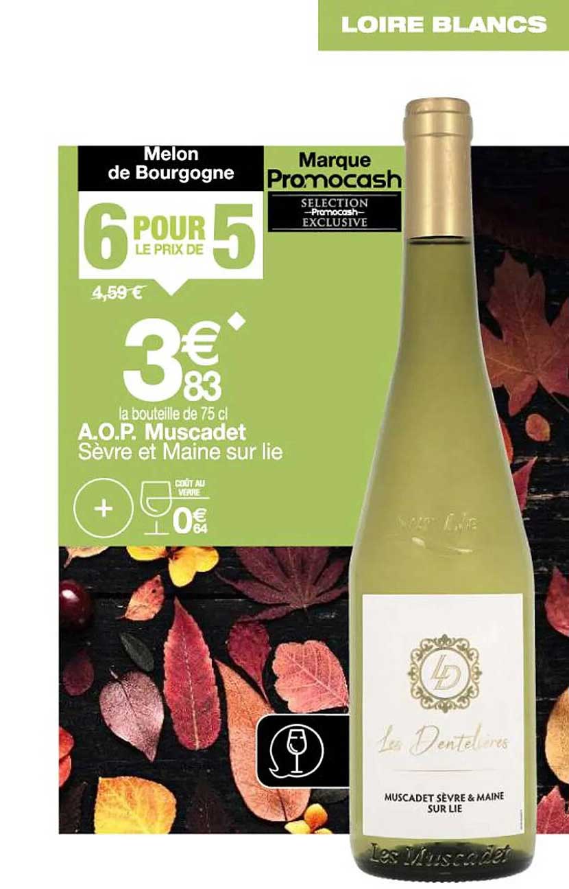 a.o.p. muscadet sèvre et maine sur lie