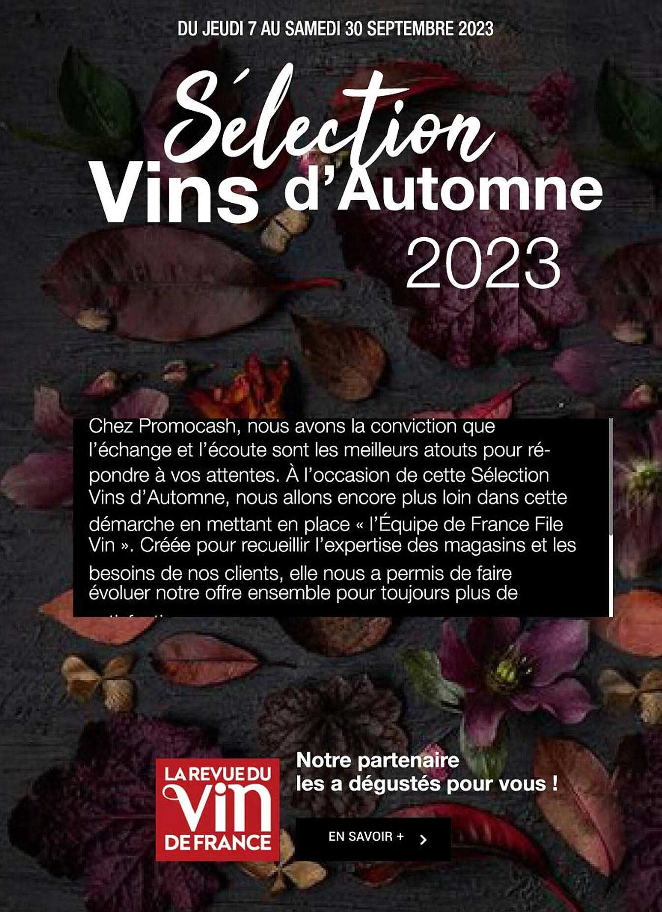 sélection vins d'automne 2023