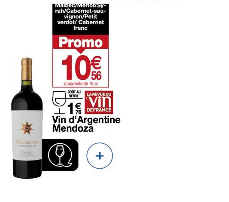vin d'argentine mendoza