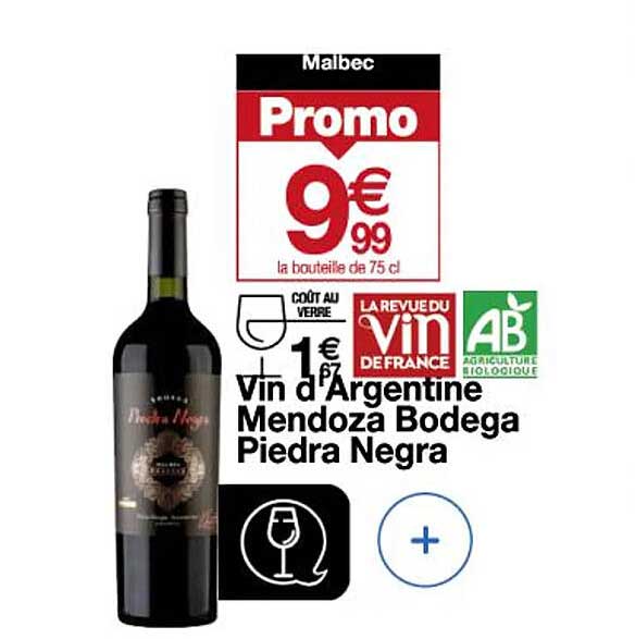 vin d'argentine mendoza bodega piedra negra