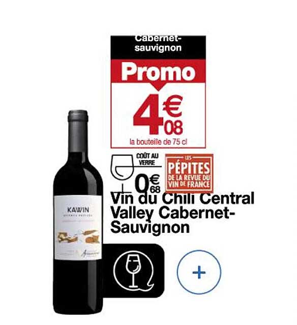vin du chili central valley cabernet-sauvignon