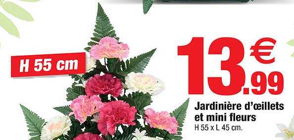 Jardinière D'œillets Et Mini Fleurs