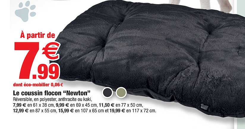 le coussin flocon "newton"