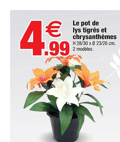 le pot de lys tigrés et chrysanthèmes