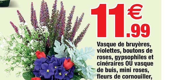 Vasque De Bruyères, Violettes, Boutons De Roses, Gypsophiles Et Cinéraires Ou Vasque De Buis, Mini Roses, Fleurs De Cornouiller