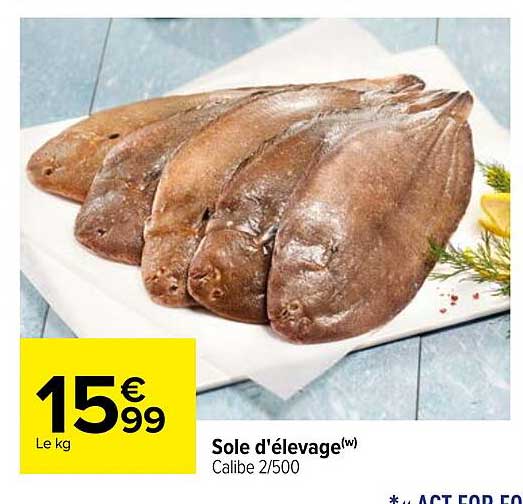 sole d'élevage