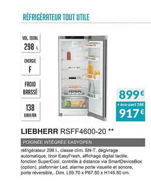 Réfrigérateur Tout Utile Liebherr Rsff4600-20