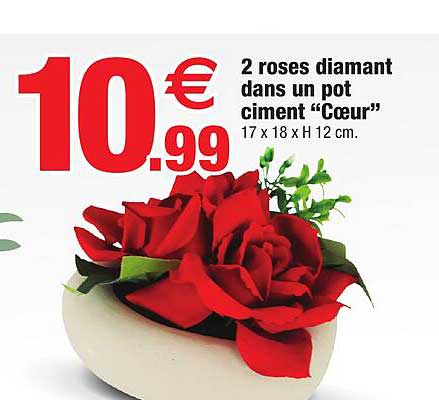 2 roses diamant dans un pot ciment "cœur"