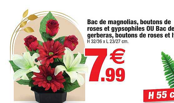 Bac De Magnolias, Boutons De Roses Et Gypsophiles Ou Bac De Gerberas, Boutons De Roses Et Lys