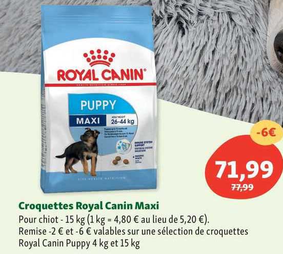 croquettes royal canin maxi