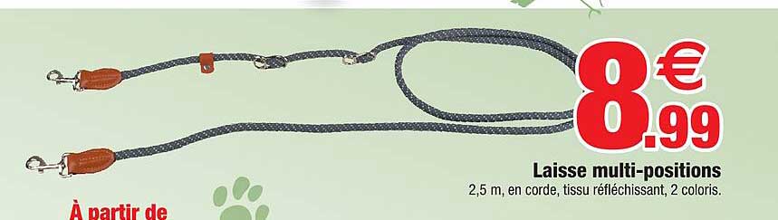 laisse multi-positions