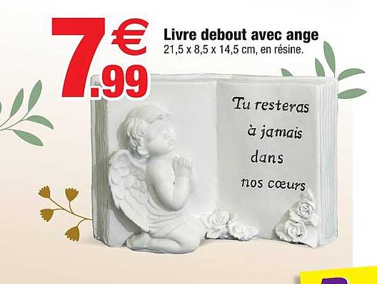 livre debout avec ange
