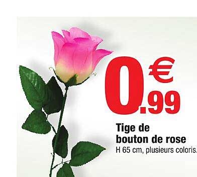 tige de bouton de rose