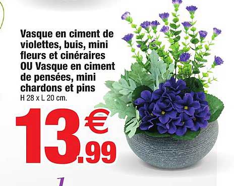 Vasque En Ciment De Violettes, Buis, Mini Fleurs Et Cinéraires Ou Vasque En Ciment De Pensées, Mini Chardons Et Pins