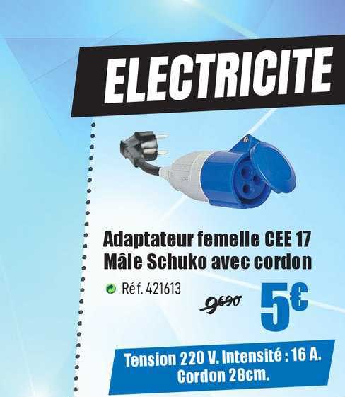adaptateur femelle cee17 mâle schuko avec cordon
