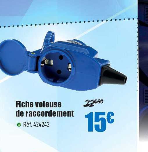 fiche voleuse de raccordement