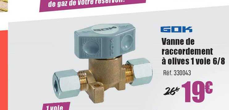 gok vanne de raccordement à olives 1 voie 6 8